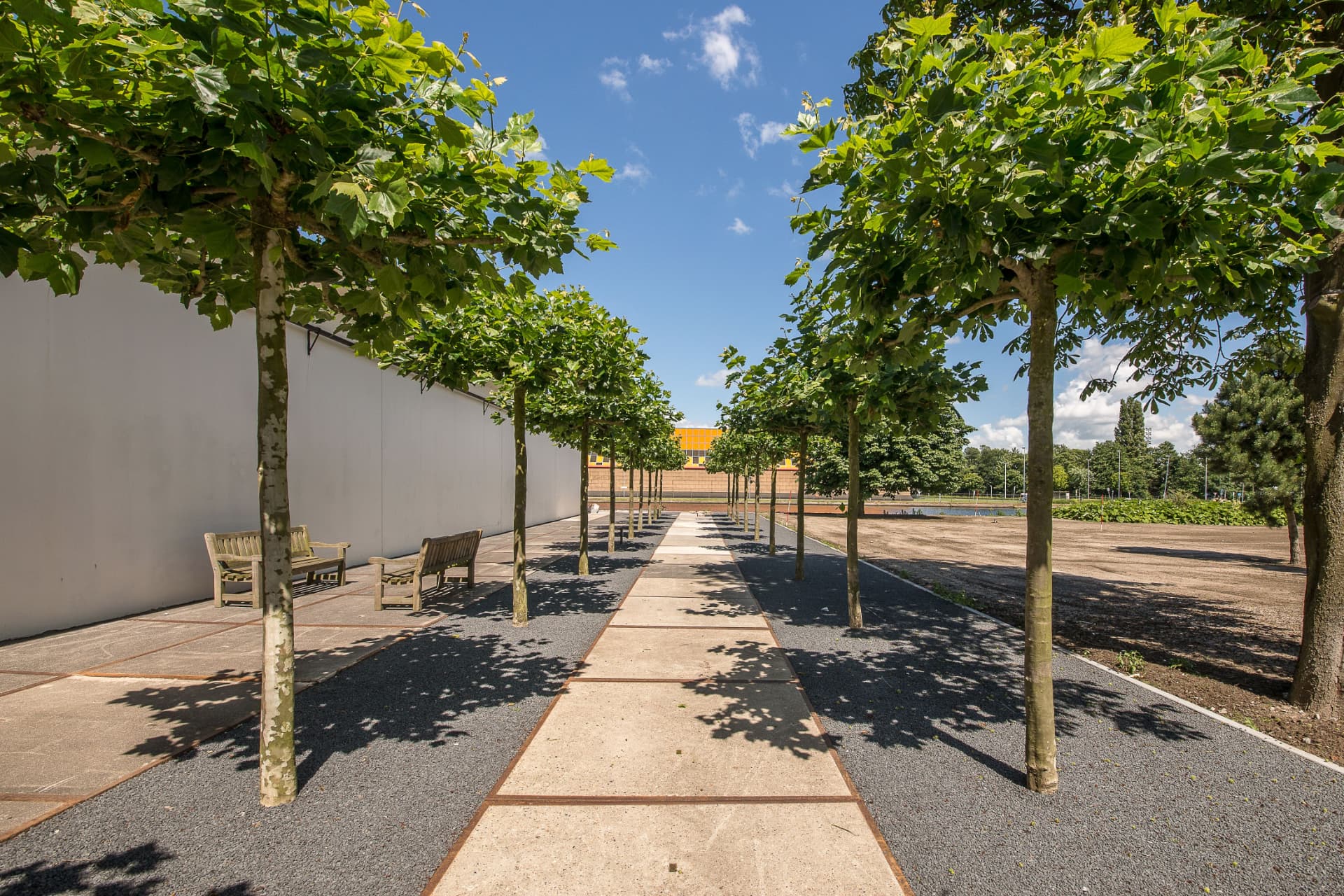 Avenue of pleached plane trees with stone paving and resin bound gravel